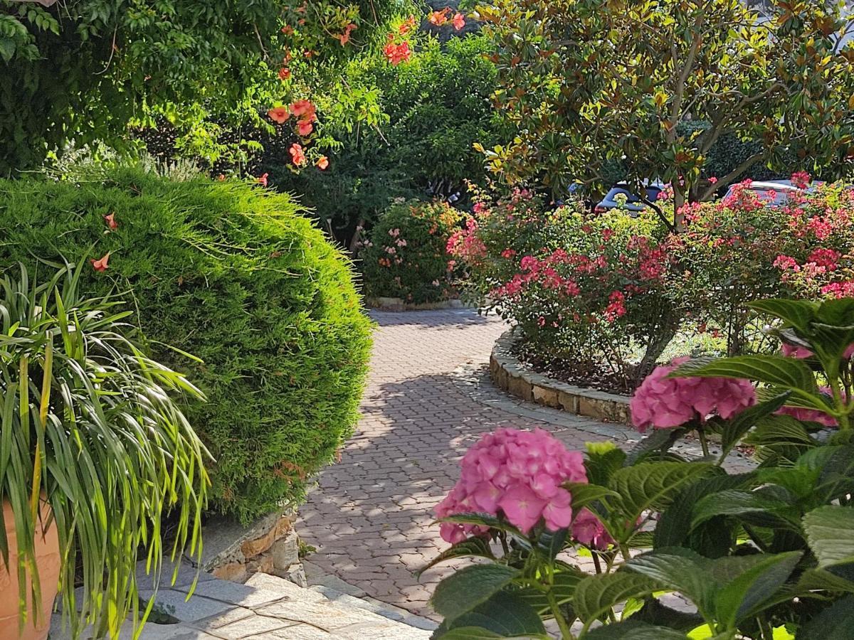 Ca De Rossana Bed&Breakfast Sanremo Dış mekan fotoğraf