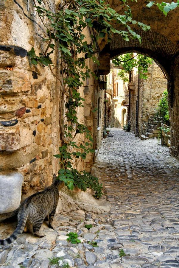 Ca De Rossana Bed&Breakfast Sanremo Dış mekan fotoğraf